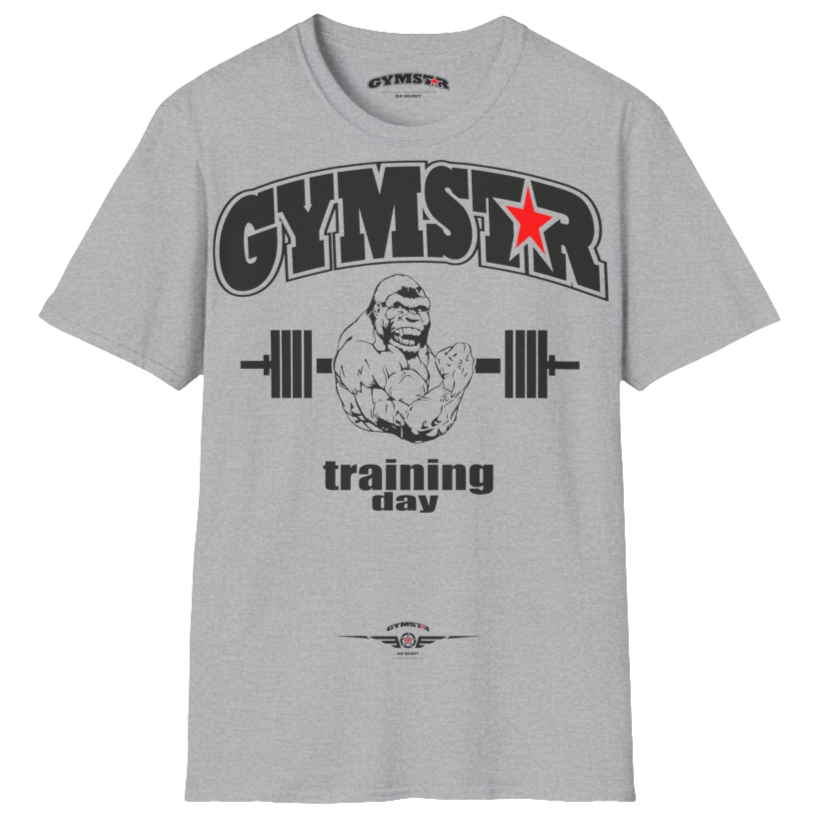 A silver grey Gymstar fitness t-shirt with the brand logo and a motivating design Training Day. Front view.