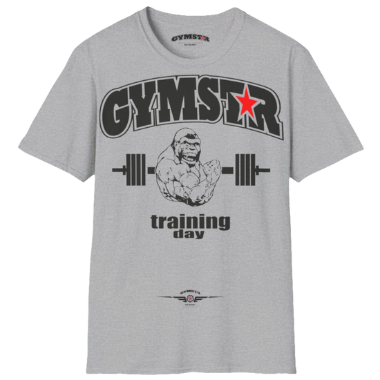 A silver grey Gymstar fitness t-shirt with the brand logo and a motivating design Training Day. Front view.