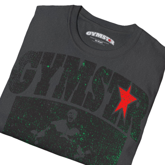 A  grey Gymstar t-shirt with a graphic print No Pain No Gain and a bodybuilder in the center, designed for fitness and sports. Front  close up view.