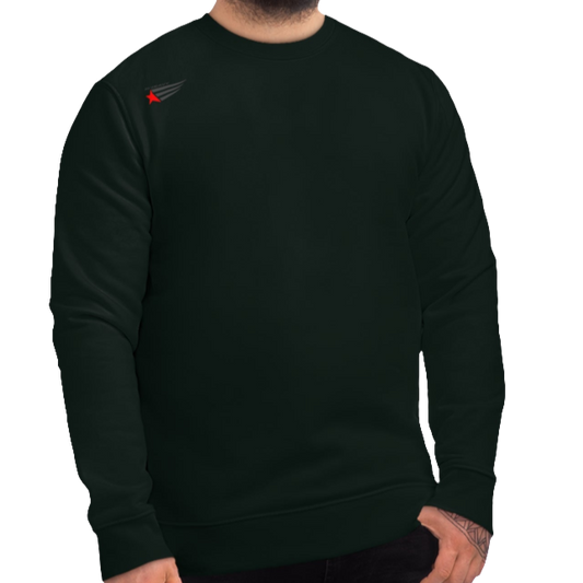 A person wearing a dark green unisex fitness Gymstar sweatshirt with a small red logo on the chest.