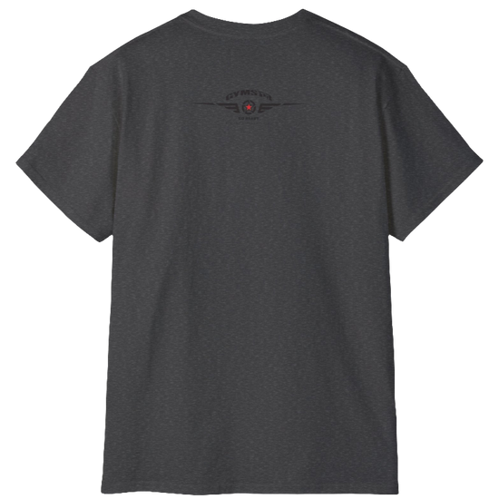 A grey Gymstar tee with a red, blue and black graphic that reads 'Sons Of Iron', skull-kettlebell, barbell and logo, presumably bodybulding or fitness. Rear view.