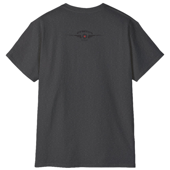 A  grey  molon labe, gymstar training, fitness t-shirt. Rare view.