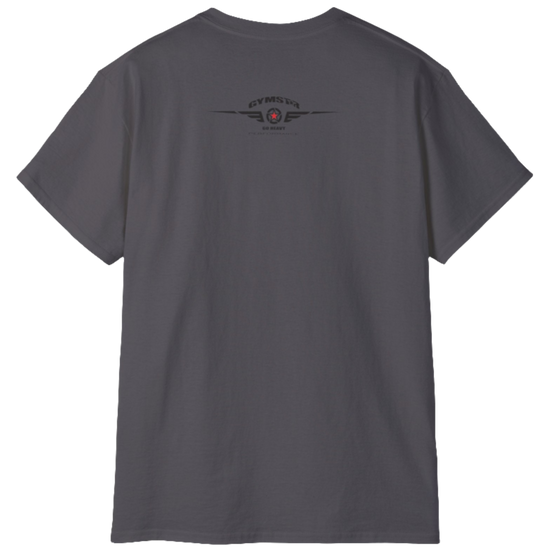 A sport grey  molon labe, gymstar training, fitness t-shirt. Rare view.