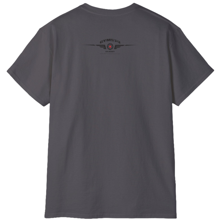 A sport grey  molon labe, gymstar training, fitness t-shirt. Rare view.