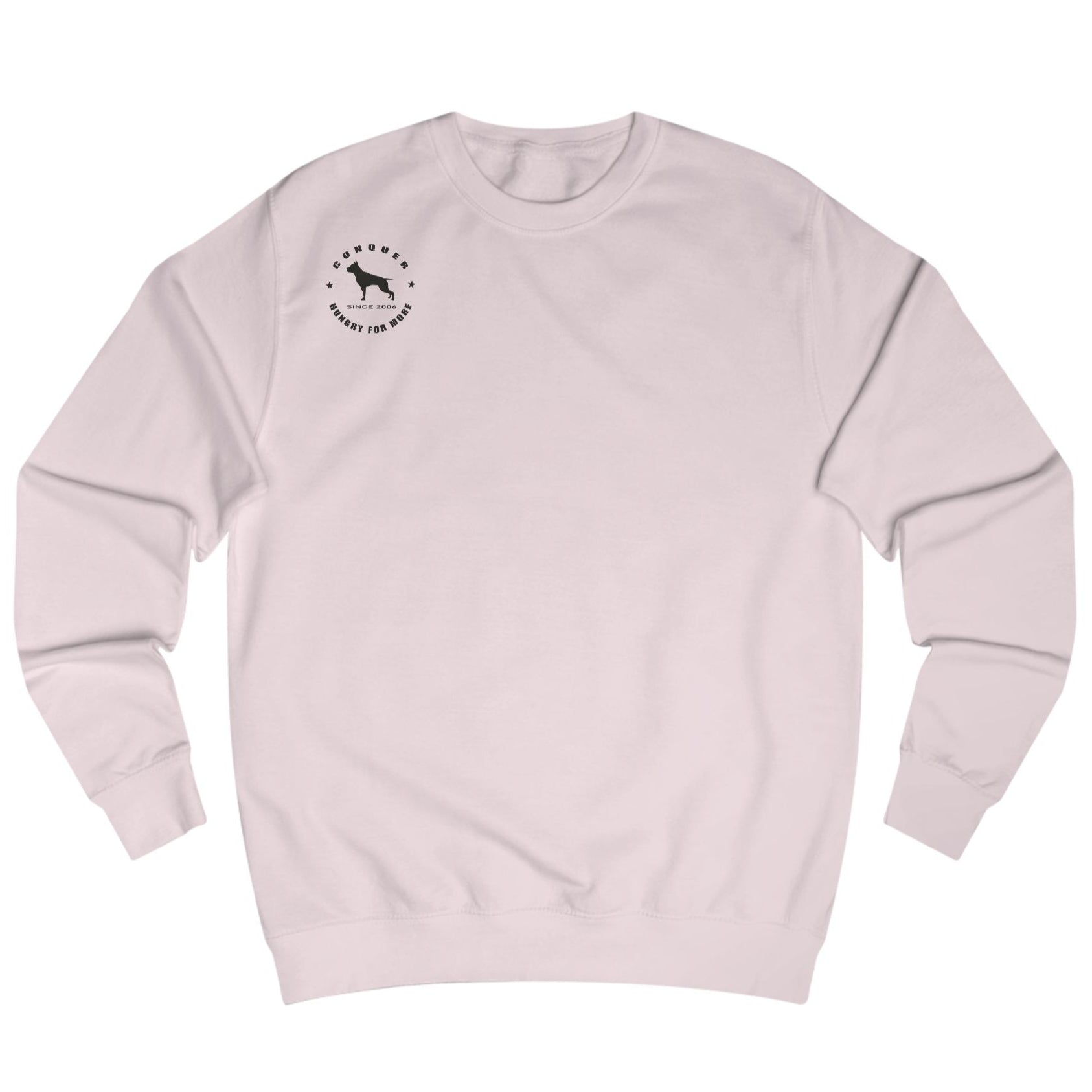 pink, sporty,  fitness and bodybuilding hoodie of the Fitbull brand branded with logo, front view