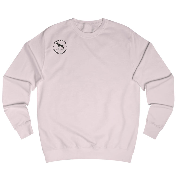 pink, sporty,  fitness and bodybuilding hoodie of the Fitbull brand branded with logo, front view