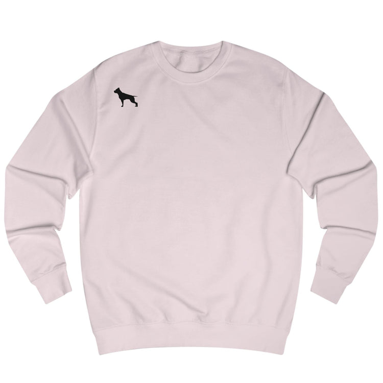 pink, sporty hoodie for fitness and crossfit by the Fitbull brand, branded with a logo, Front view.
