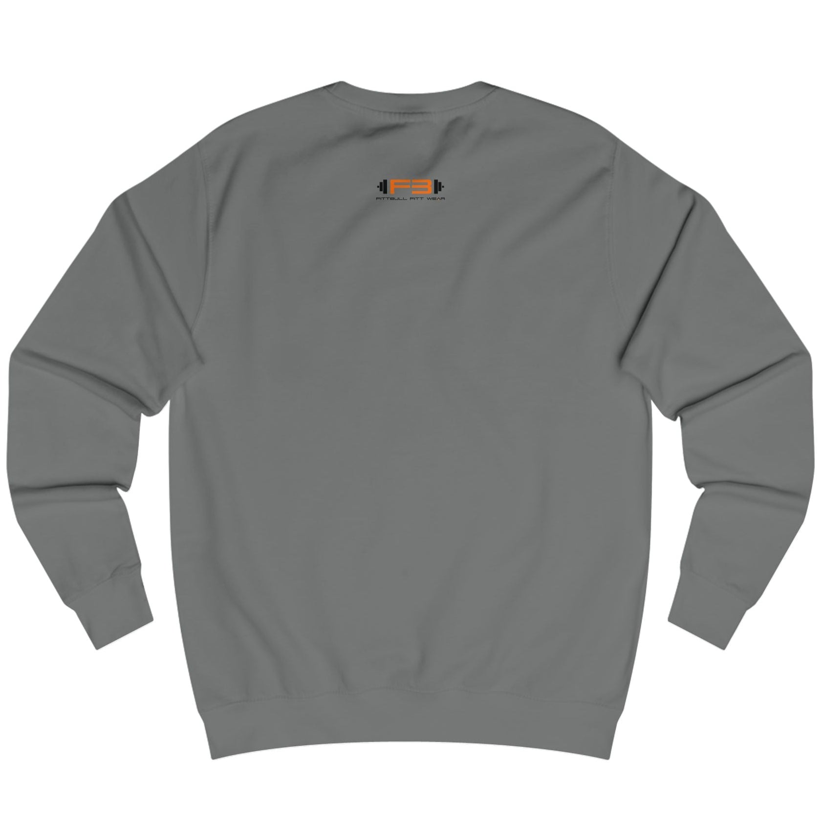 sharcoal, sporty,  fitness and bodybuilding hoodie of the Fitbull brand branded with logo, back view