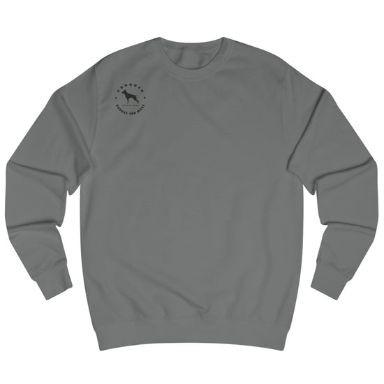 sharcoal, sporty,  fitness and bodybuilding hoodie of the Fitbull brand branded with logo, front view